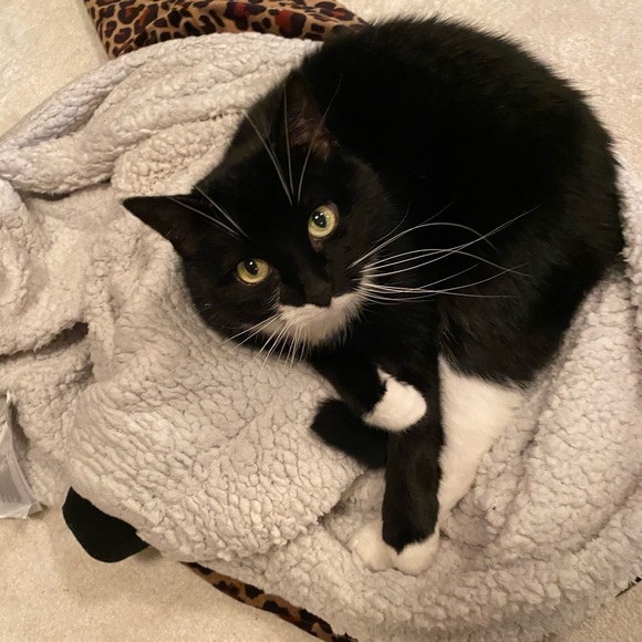 Meet your Posher, Michaela - Picture 1 of 1